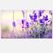 Designart - Purple Lavender Field - Floral Photography Canvas Art Print